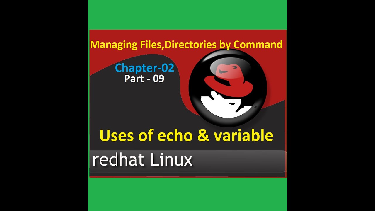 Chapter 2 Echo Variable YouTube Chapter 2 Echo Variable YouTube