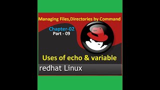 Chapter-2: Echo & Variable