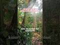 Nikmat Haram yang Menipu #katamutiara #islami #renungan #shorts