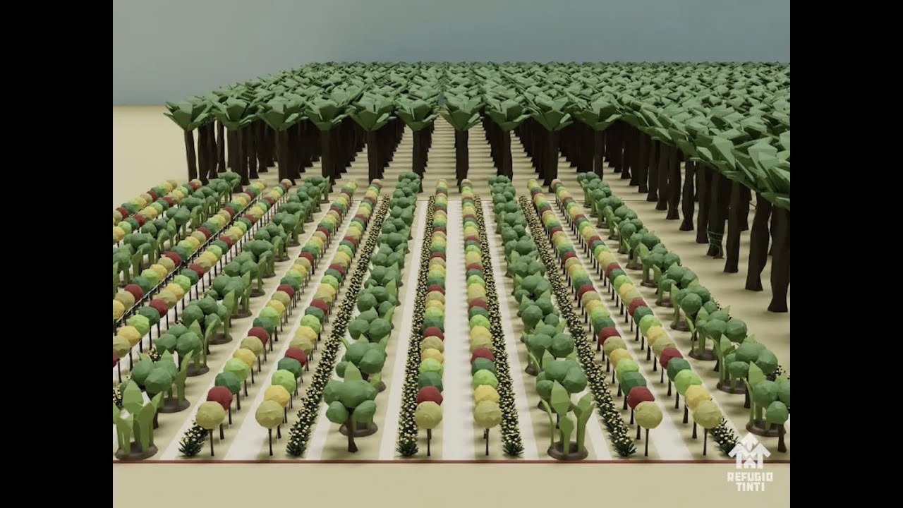 De los monocultivos a los bosques de alimentos | Refugio Tinti