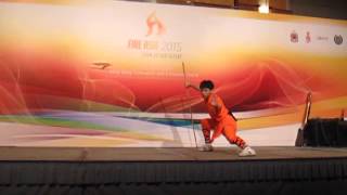 2015會展_功夫表演