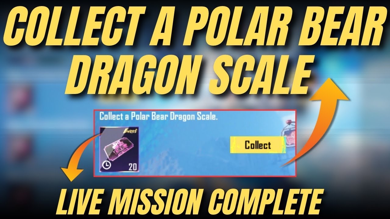 COLLECT A POLAR BEAR DRAGON SCALE | ICE DRAGON WITNESS MISSION