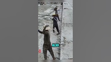 The Flexible Handle Hammer That Hits Harder with Less Effort