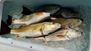 Spring Time Redfish - The #1 Mistake Saltwater Anglers Make by LowCountryFishing 5,306 views 2 weeks ago 13 minutes, 3 seconds