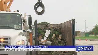 Declutter at Litter Critter