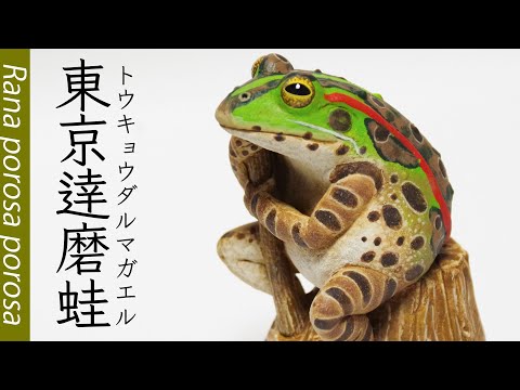 ●カエルの森工房イエブジカエル / トウキョウダルマガエルver.● ネイチャーテクニカラー 日本のカエル 特装版 [6.トウキョウ