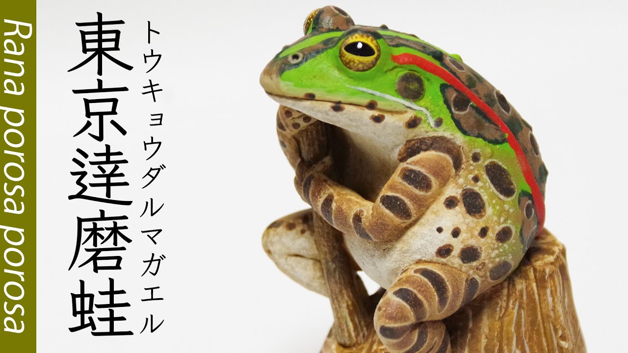 トウキョウダルマガエル / フィギュア原型造形制作 塗装 / Sculpting