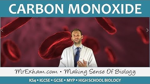 Pollution - Carbon Monoxide - GCSE Biology (9-1)