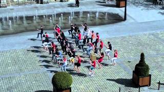 ENSIAME Crazybou Flash Mob (Campagne BDE)