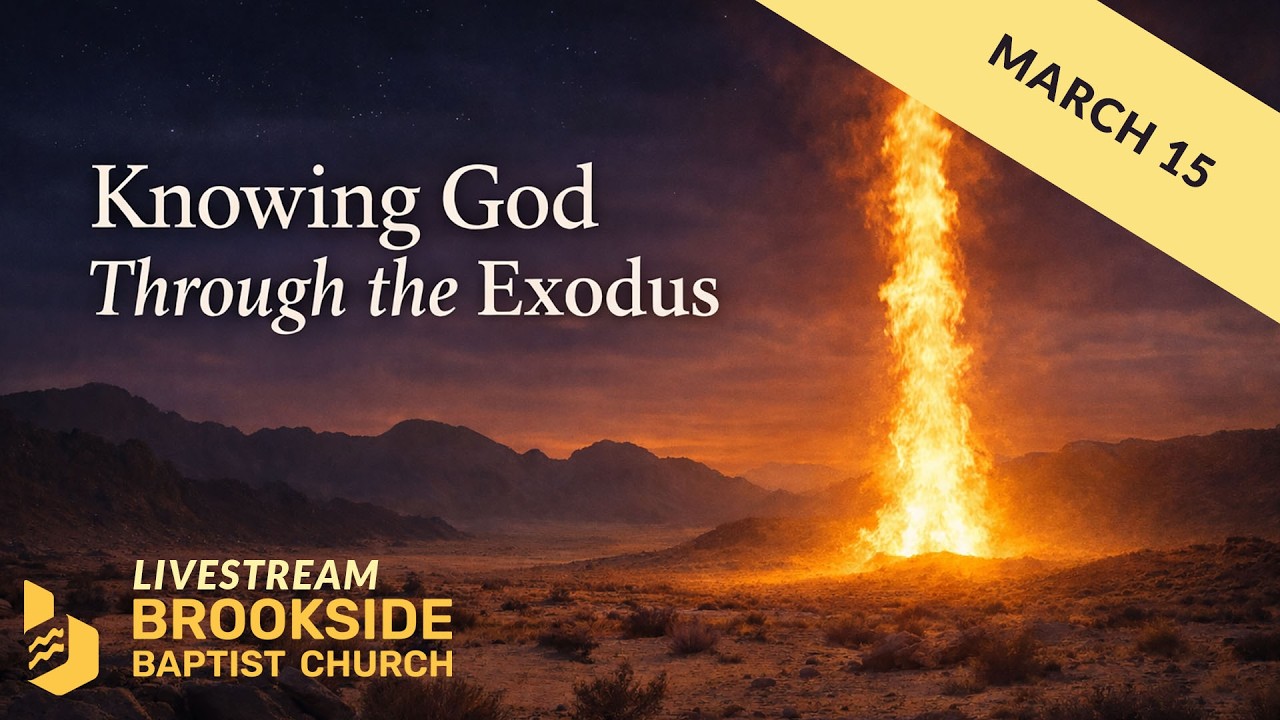 Mar 15 2026 - Knowing God through the Exodus - Part 3 - The God Who Goes Before Us