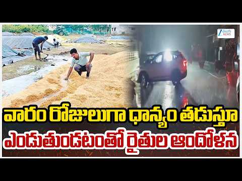Grain Farmers Problems In Warangal | వారం రోజులుగా ధాన్యం తడుస్తూ, ఎండుతుండటంతో రైతుల ఆందోళన | ZEE - ZEE24TELUGUNEWS