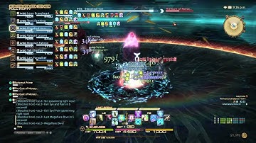 FFXIV T13 Pro Wipes Part 3