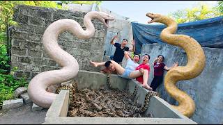 Experts Bravely Rescued a Young Girl from a Giant White Python in an Abandoned House