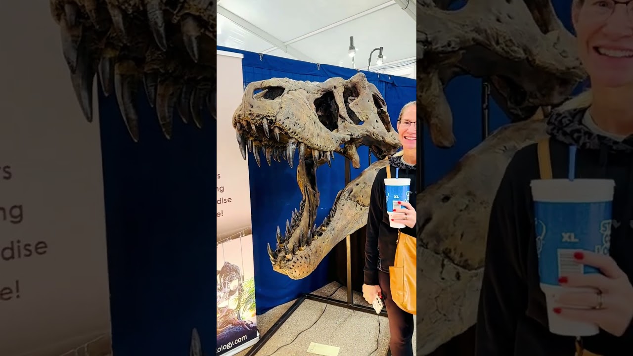 Tyrannosaurus Rex Skull: The T Rex was the Scariest and Most Feared Dinosaur. 