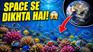 Coral reef & Coral bleaching Explained with Valet Aliquid