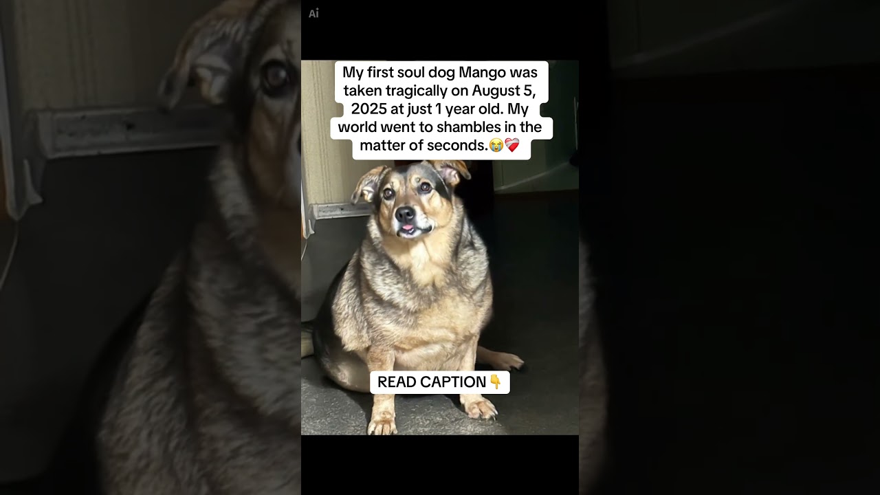 READ CAPTION 👇🏻