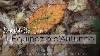 Semi della Terra: Equinozio d'Autunno