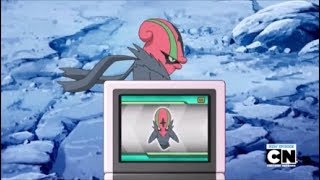 Accelgor Pokédex Entry Accelgor Pokédex Entry