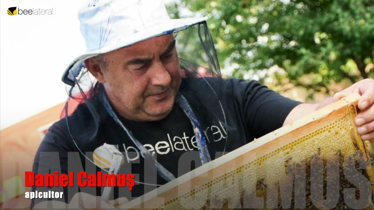 Daniel Calmus - beelateral: Test turte proteice - rezultatul meu!