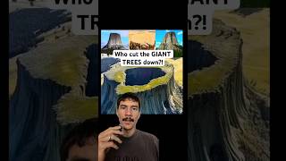 The Book Of Enoch shares WHO cut the GIANT TREES down #bible #enoch #giants #nephilim #flood #angels