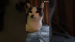 If The Earth Was Flat