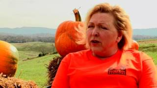 Sinkland Farms
