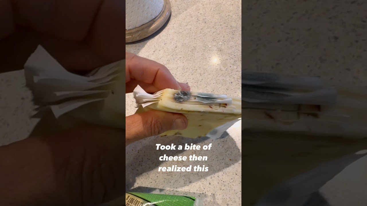 Moldy cheese is spicy 