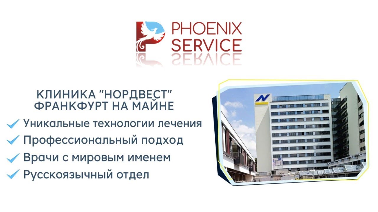 Хонда сервис фото