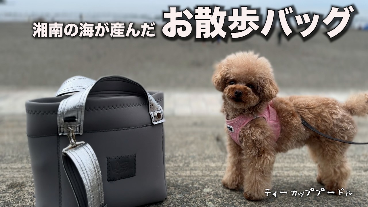 【オーダー品】　巾着バッグ　スマホポーチ　ジョリーフルール　犬パネル Tough and Beautiful Wetsuit Walking Bag [Everything About the