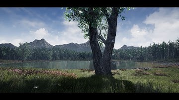 🎬MOUNTAIN LAKE - CINEMATICS - UNREAL ENGINE 4  [3/3]