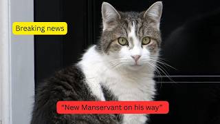 Larry, The Downing Street Cat - New Manservant on his way