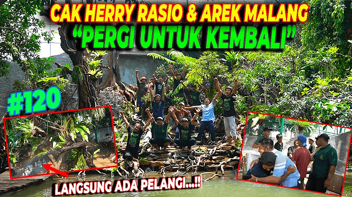 #EPS120 DEHAKIMS AVIARY | LIAT LANGSUNG PELANGI DI AVIARY, WAKTU KEPULANGAN CAK HERRY & AREK MALANG