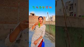 Akshta Vedika Ko chipkali kahani he 😳