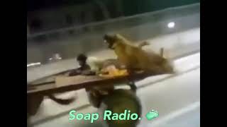 Stan Twitterxfloptok Horse Running On The Road While Rodeo By Soap Radio. Plays