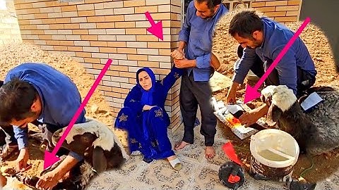 Qasim and the Wounded Sheep | A True Story of Kindness and Hope