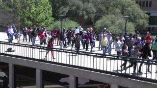 Richland College Spring 2014 Flash Mob Cupid Shuffle April 4 2014 YouTube setting 1080p 30fps