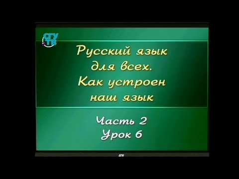 Русский язык для детей. Урок 2.6. Что такое омонимы?