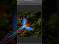 Adobe photoshop Fill #shorts #youtubeshorts #viralshorts #trending #graphicdesign
