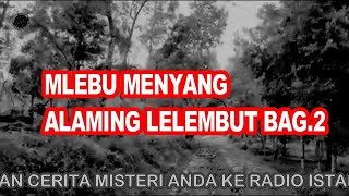 MLEBU MENYANG ALAMING LELEMBUT BAG 2 screenshot 5