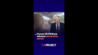 Former UK PM Boris Johnson attacked by ostrich