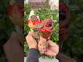 可愛すぎる濃厚チョコクリスマスクレープ