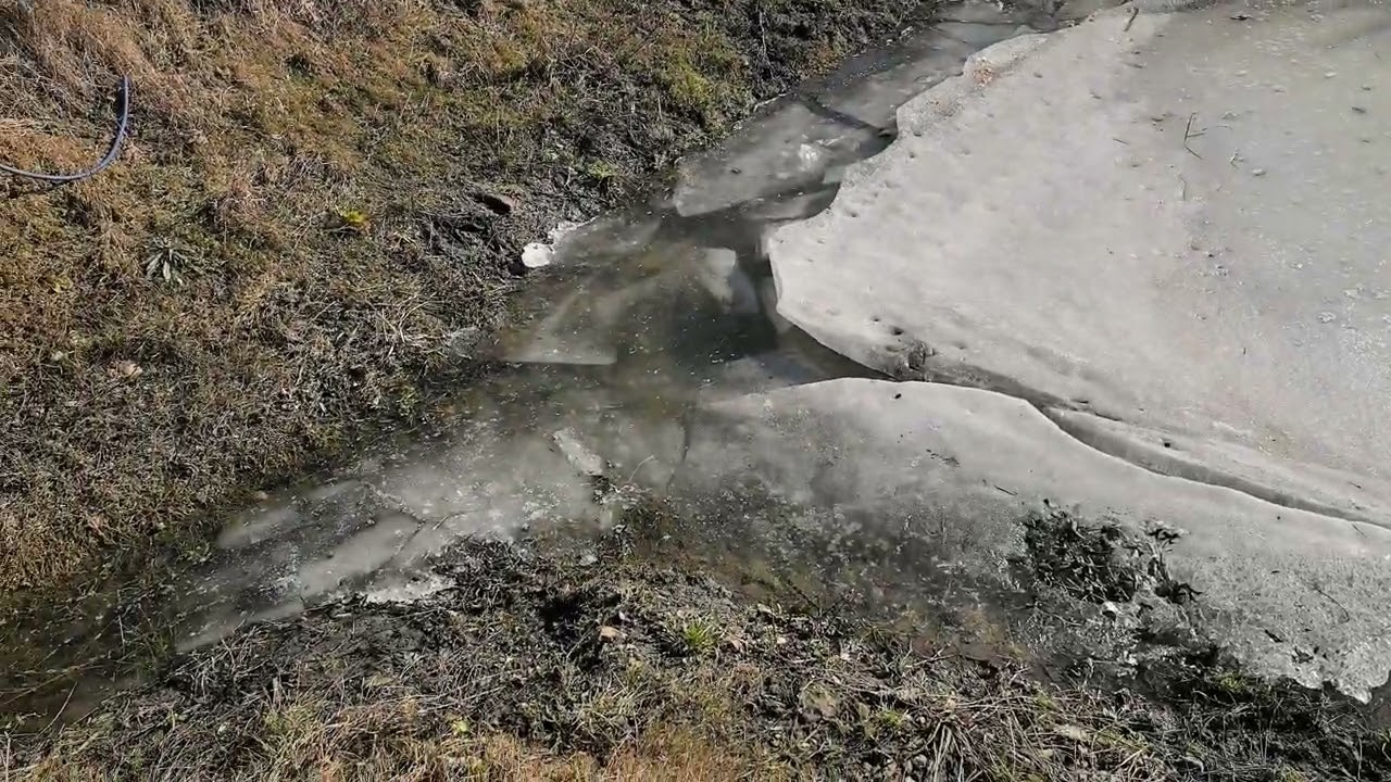 Мой пруд. Март 2026. Последствия зимы столетия.
