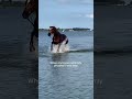 Horse decided his shift was over
