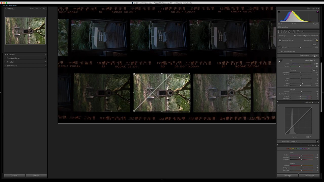 Contactsheet NLP / Negative Lab Pro - How to create a contact sheet in 55 seconds