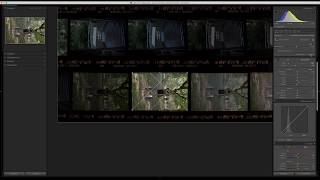Contactsheet NLP / Negative Lab Pro - How to create a contact sheet in 55 seconds