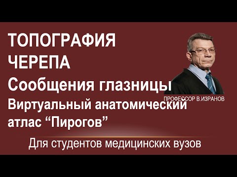 Топография черепа. Сообщения глазницы.