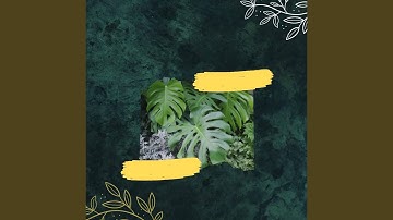 Quiet Backdrops for Lazy Days