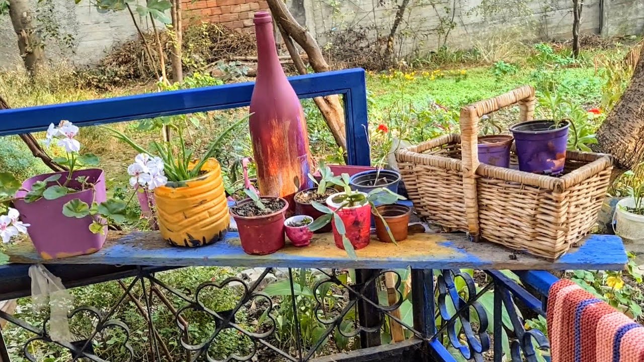 Derince'de Kedili Bahçe | Misafir Bahçeler #13