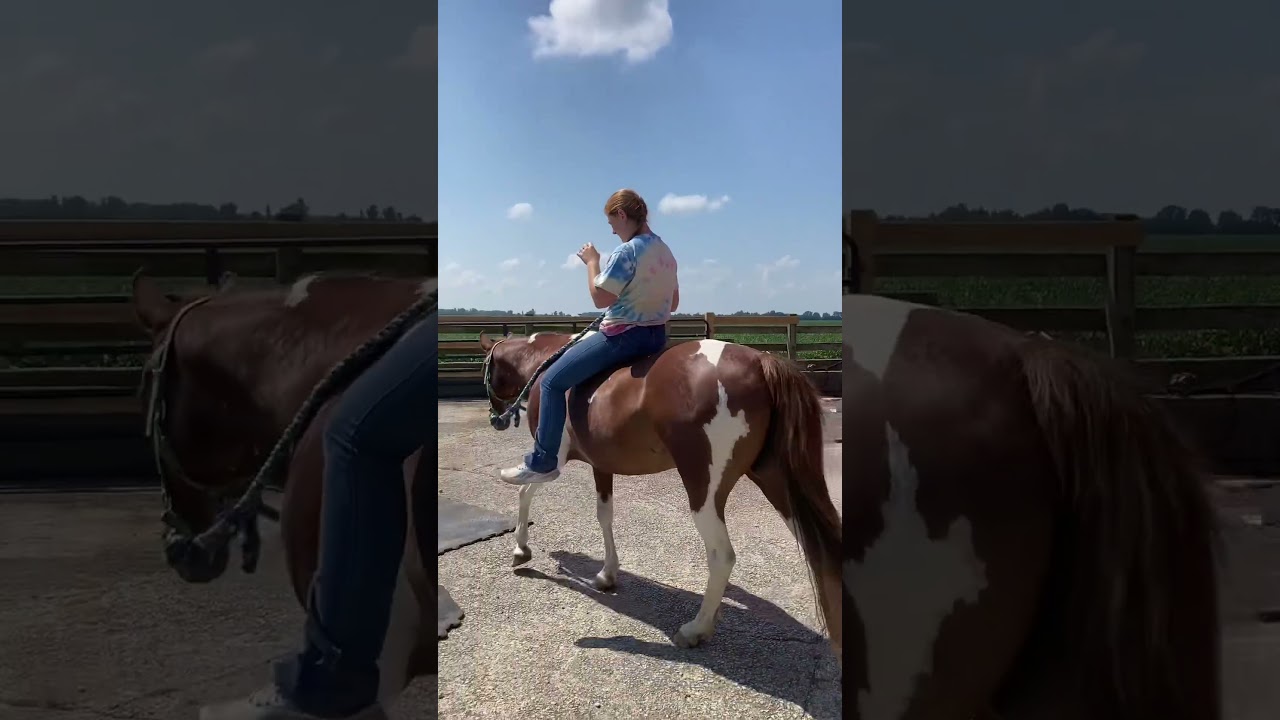 Summer of 2025🥹 #shorts#horse#equestrian#viral#fypシ