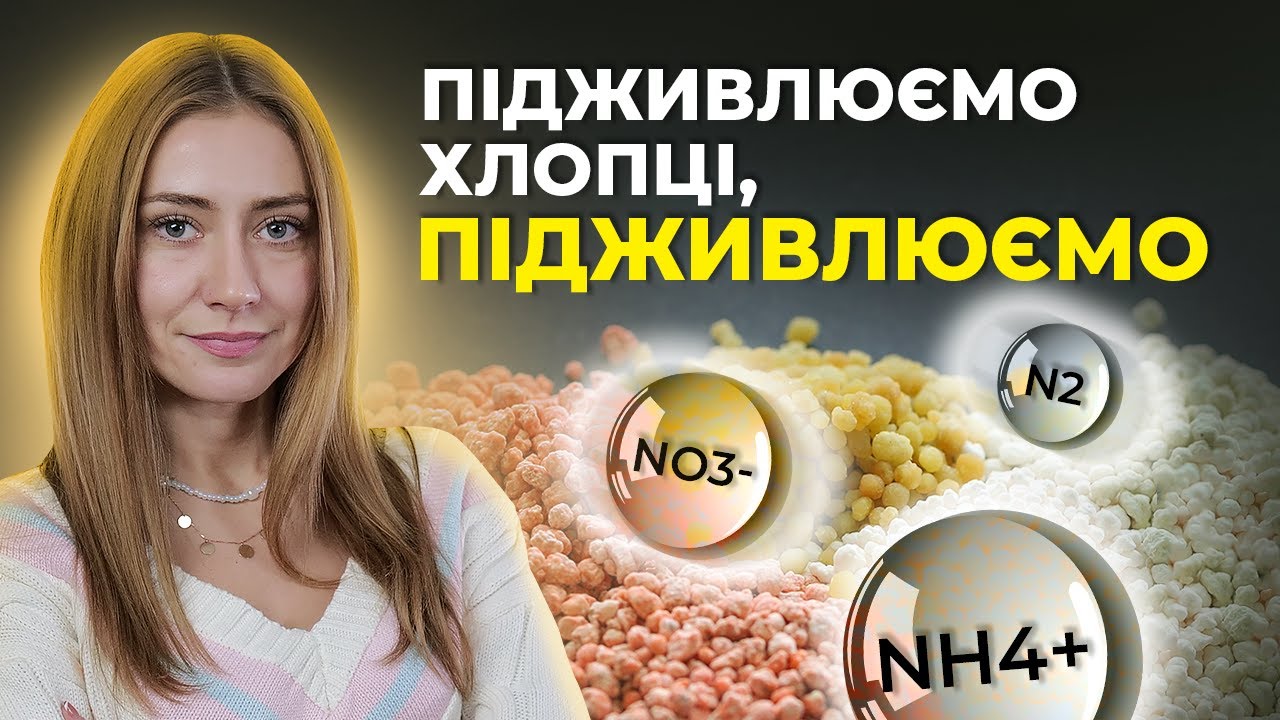 ЯКИМ АЗОТОМ ПІДЖИВИТИ ПШЕНИЦЮ В 2024 РОЦІ? ФОРМИ АЗОТА #ОсновиЗемлеробства